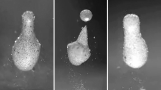 Amazing Magic Powder Freezes Water Drops As They Bounce